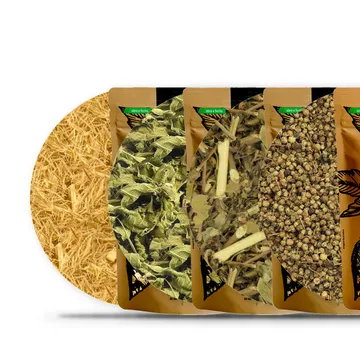 Kit Chas Digestao e Saude Blend Figado Boldo do Chile